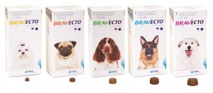 Lees meer over het artikel Vragen over Bravecto