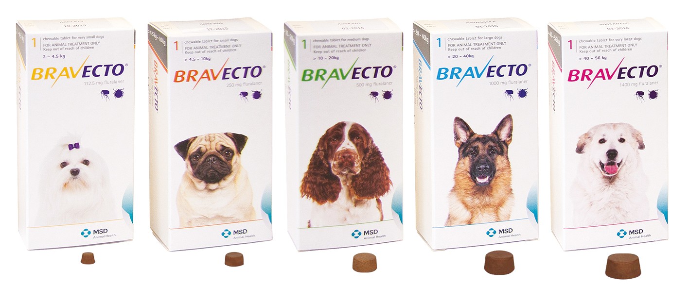 Verzending niet verwant media Vragen over Bravecto | Dierenarts Geurts