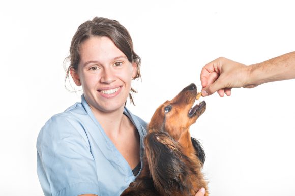 Geurts dierenklinieken Venlo-Blerick, Tegelen en Grubbenvorst